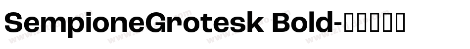 SempioneGrotesk Bold字体转换